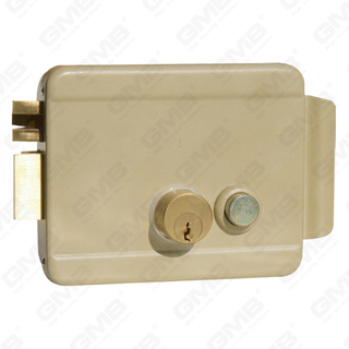 Security Nigh Latch Lock Deadbolt Electronic Control Rim Lock Rim Cylinder Lock (D016)